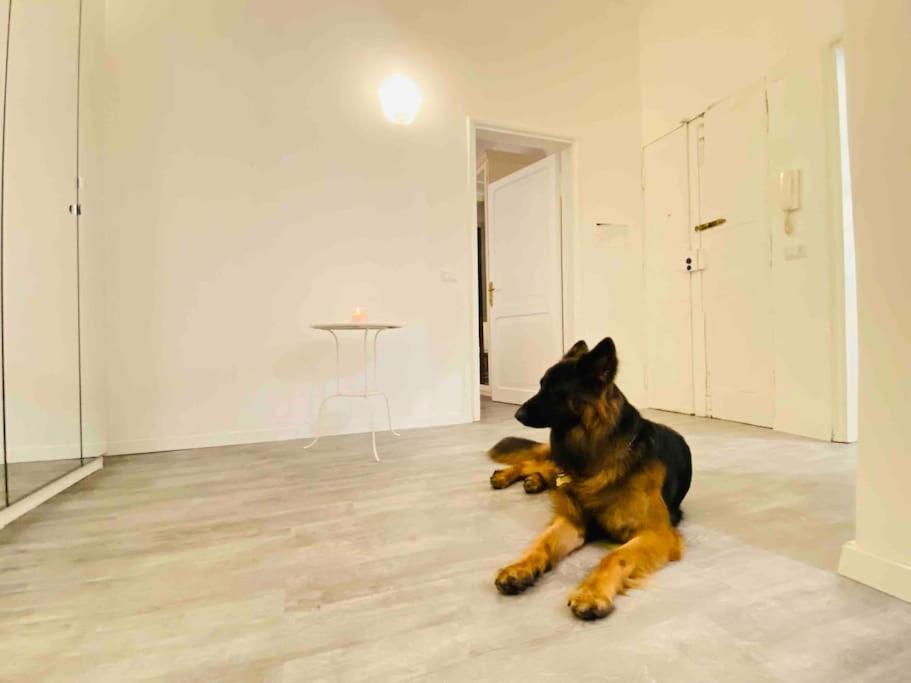 Mamisa Rome, Appartamento Con Parcheggio Privato E Gratuito — Foto 1